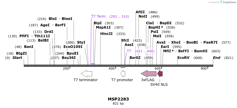 131900_map