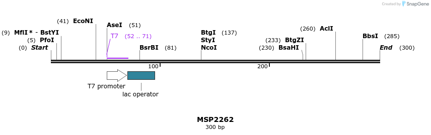 131904_map