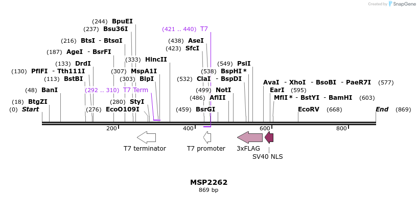 131905_map