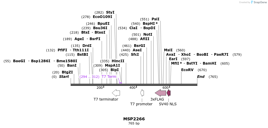 131907_map