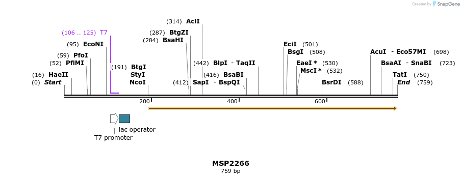 131908_map