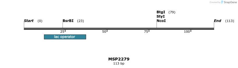 131910_map