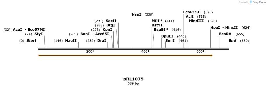 131912_map