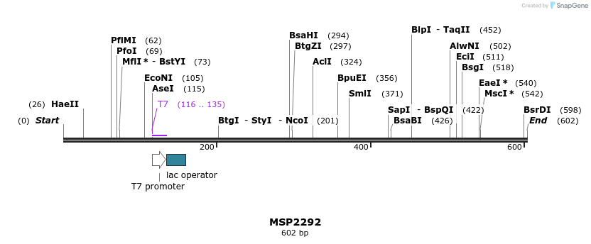 131913_map