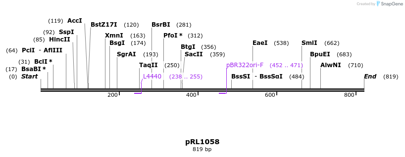 131914_map