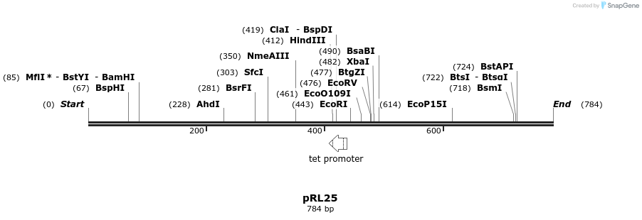 131919_map