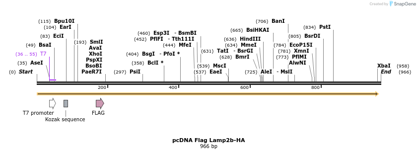 131920_map