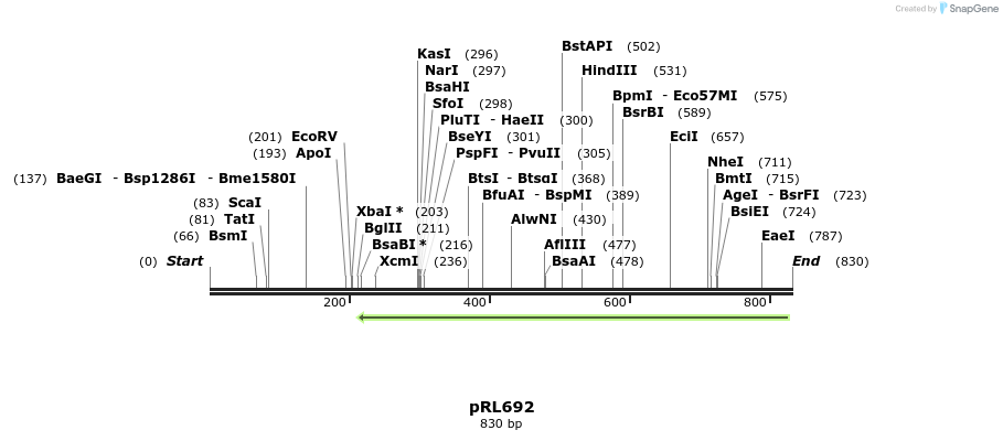 131922_map