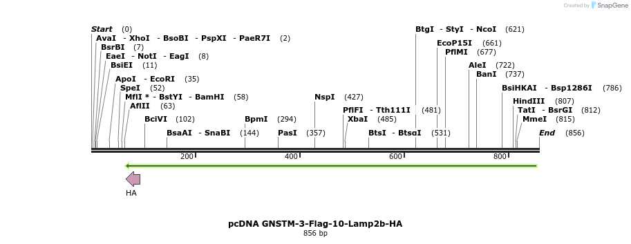 131925_map