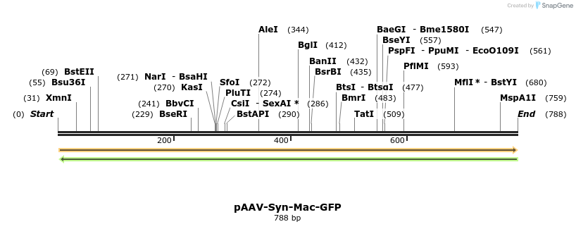 131927_map