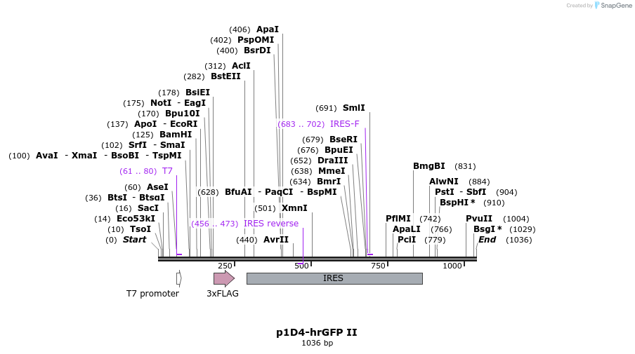 131930_map