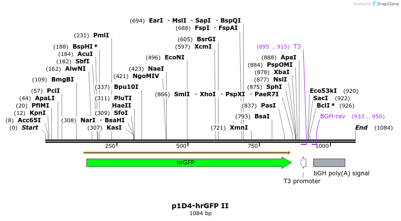 131931_map
