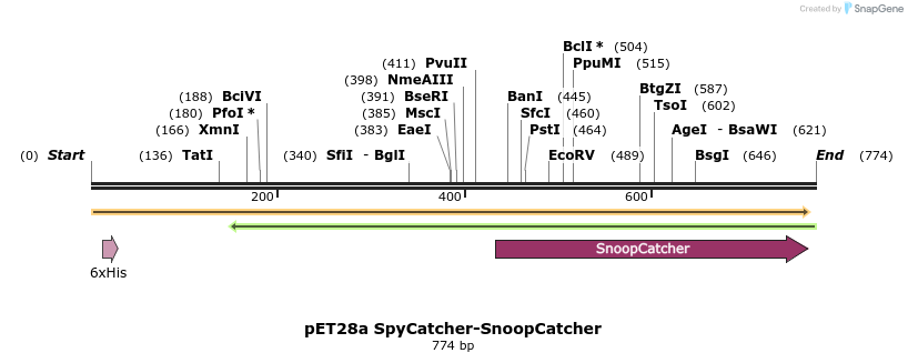 131954_map