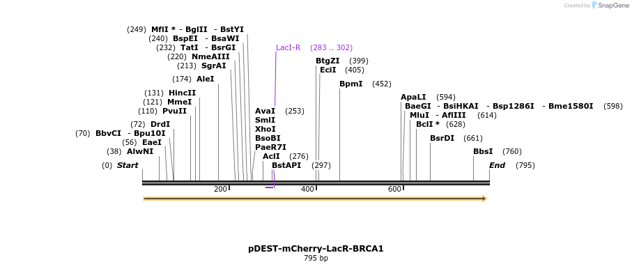 131956_map