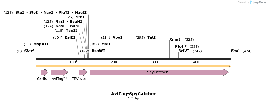 131957_map