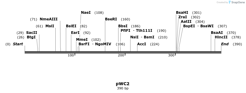 131960_map