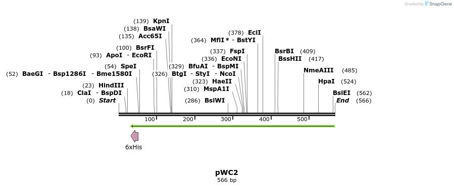 131961_map