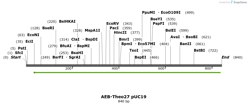 131963_map