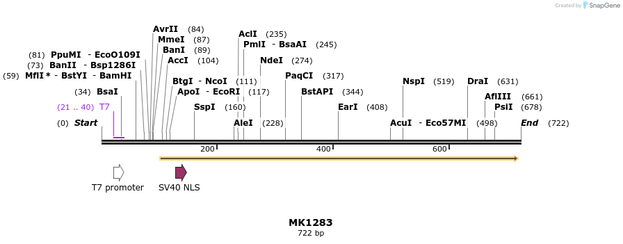 131965_map