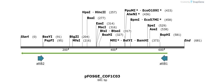 131966_map