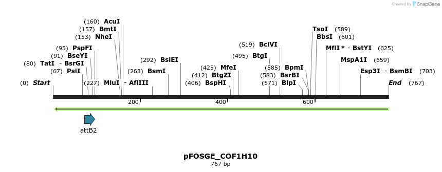 131967_map