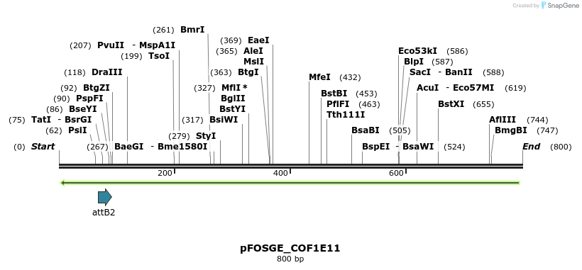 131970_map