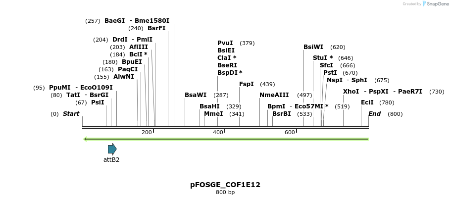 131971_map