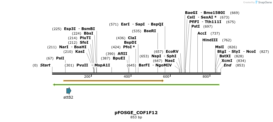 131972_map