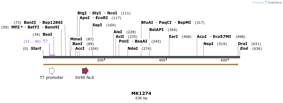 131975_map