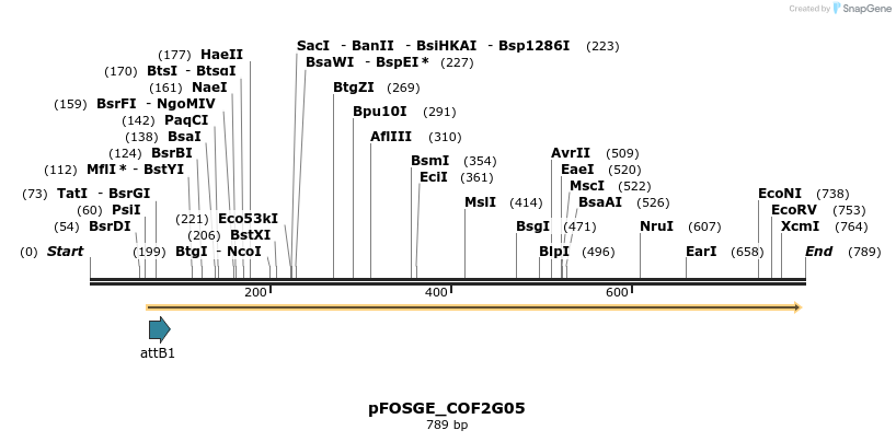131976_map