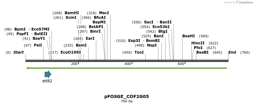 131977_map