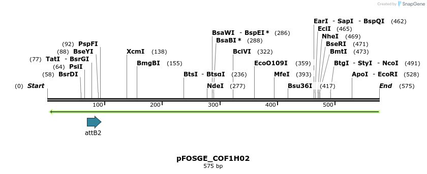 131978_map
