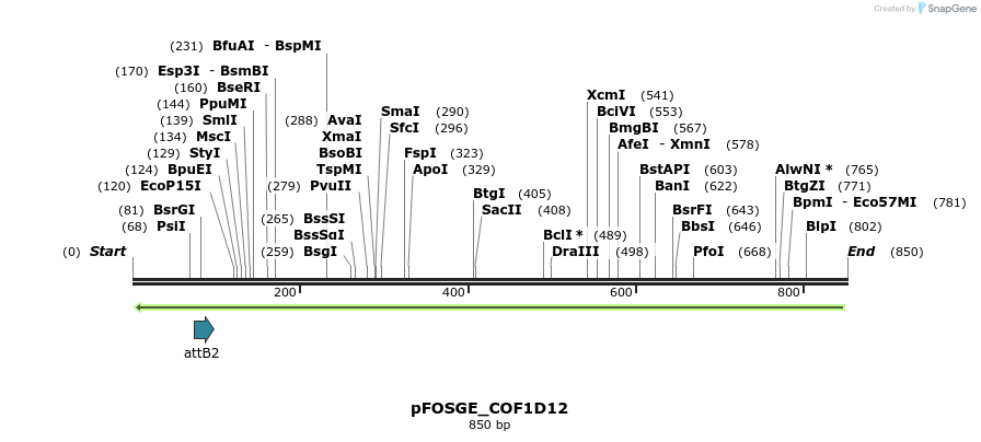 131979_map