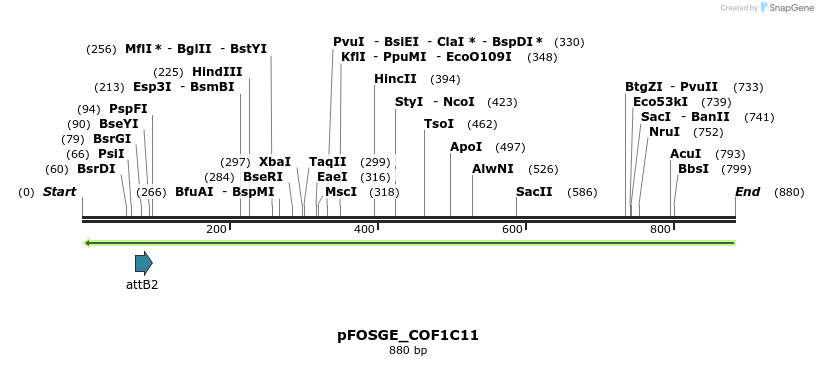 131980_map
