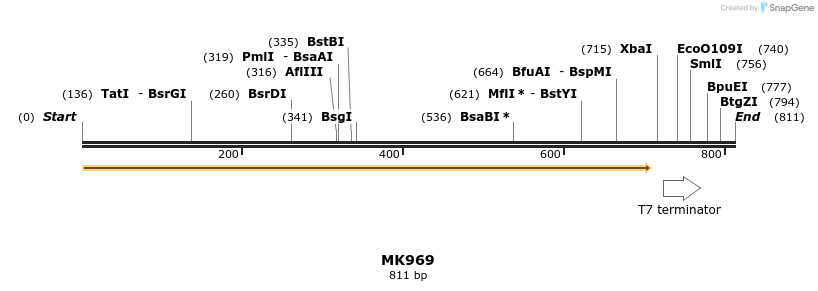 131981_map