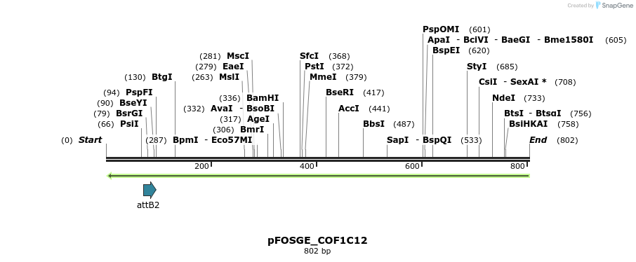 131982_map
