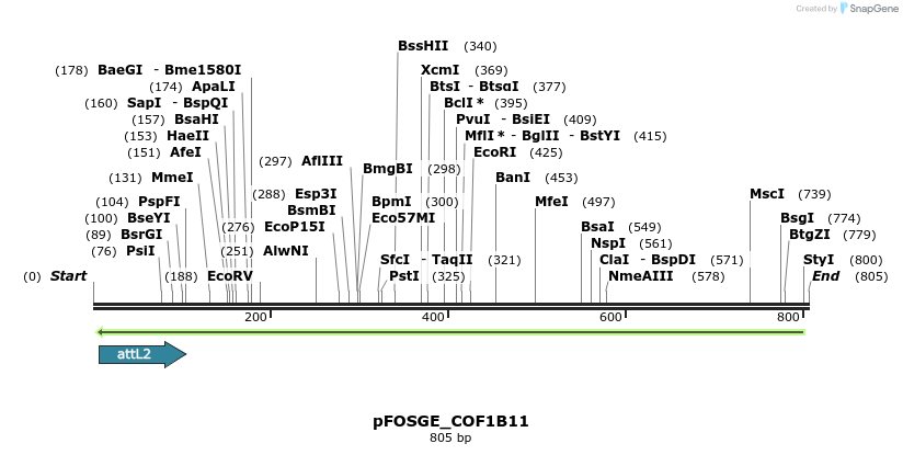 131983_map
