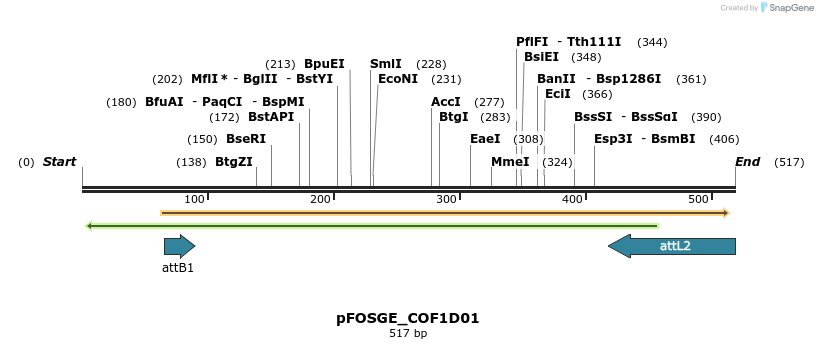 131984_map