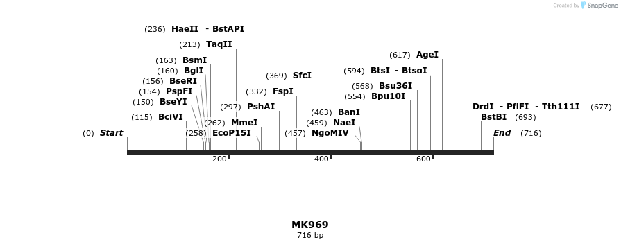 131985_map