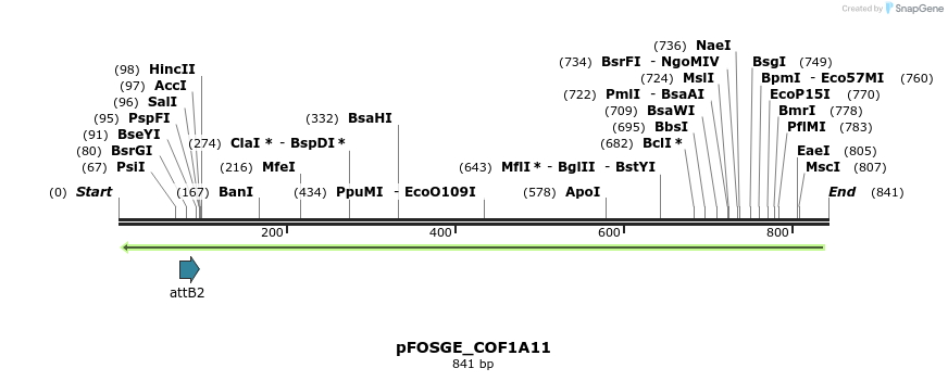 131987_map