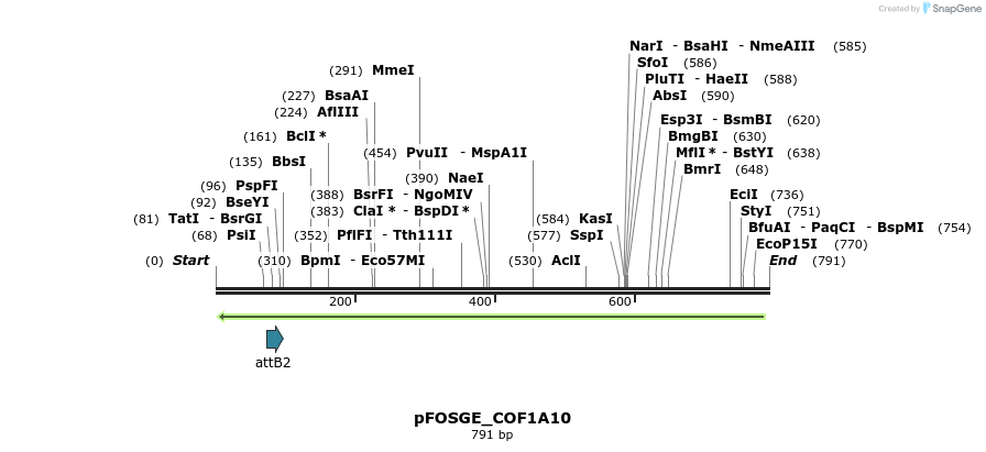 131988_map
