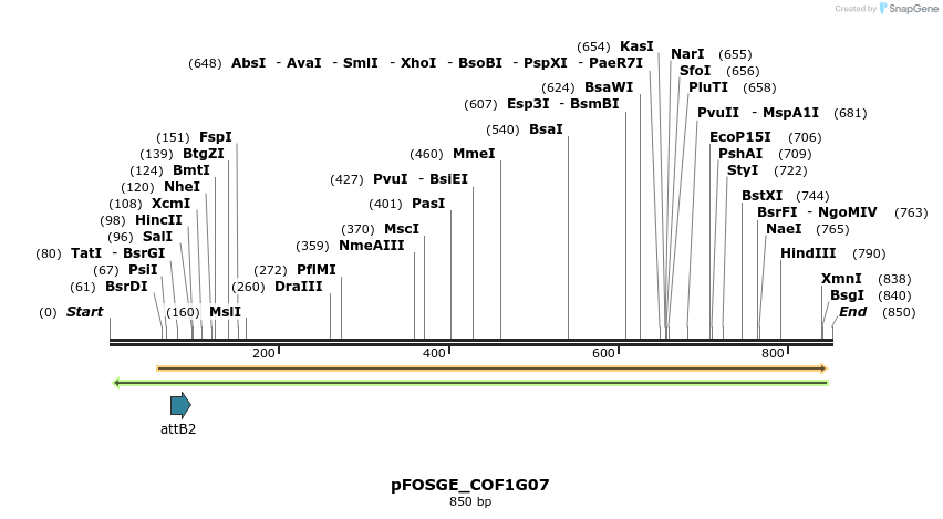 131989_map