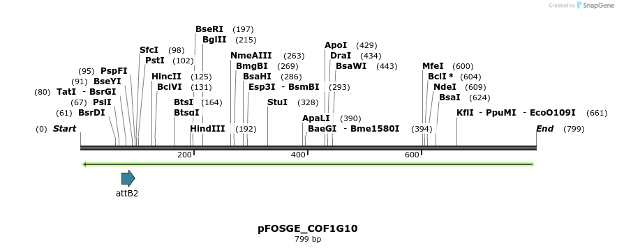 131990_map