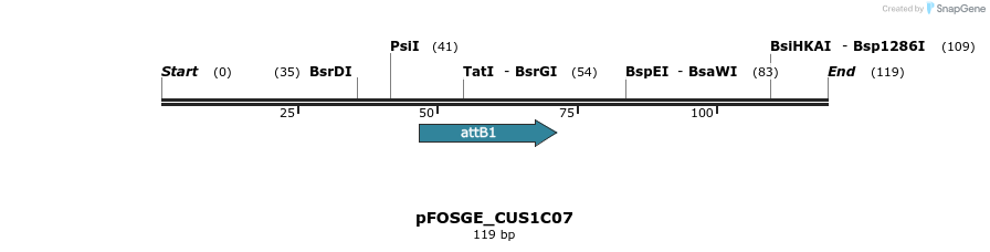131994_map
