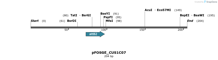 131995_map