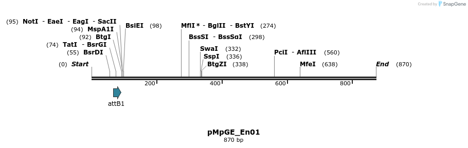 131996_map