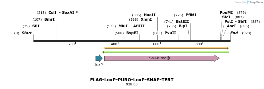131998_map