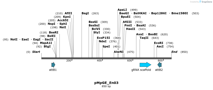 131999_map