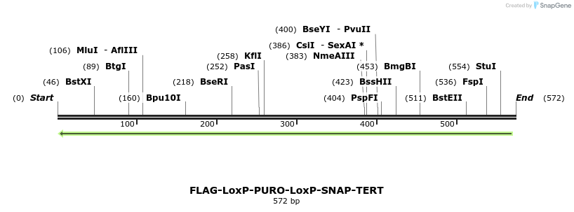 132000_map