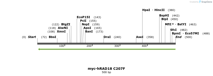 132002_map